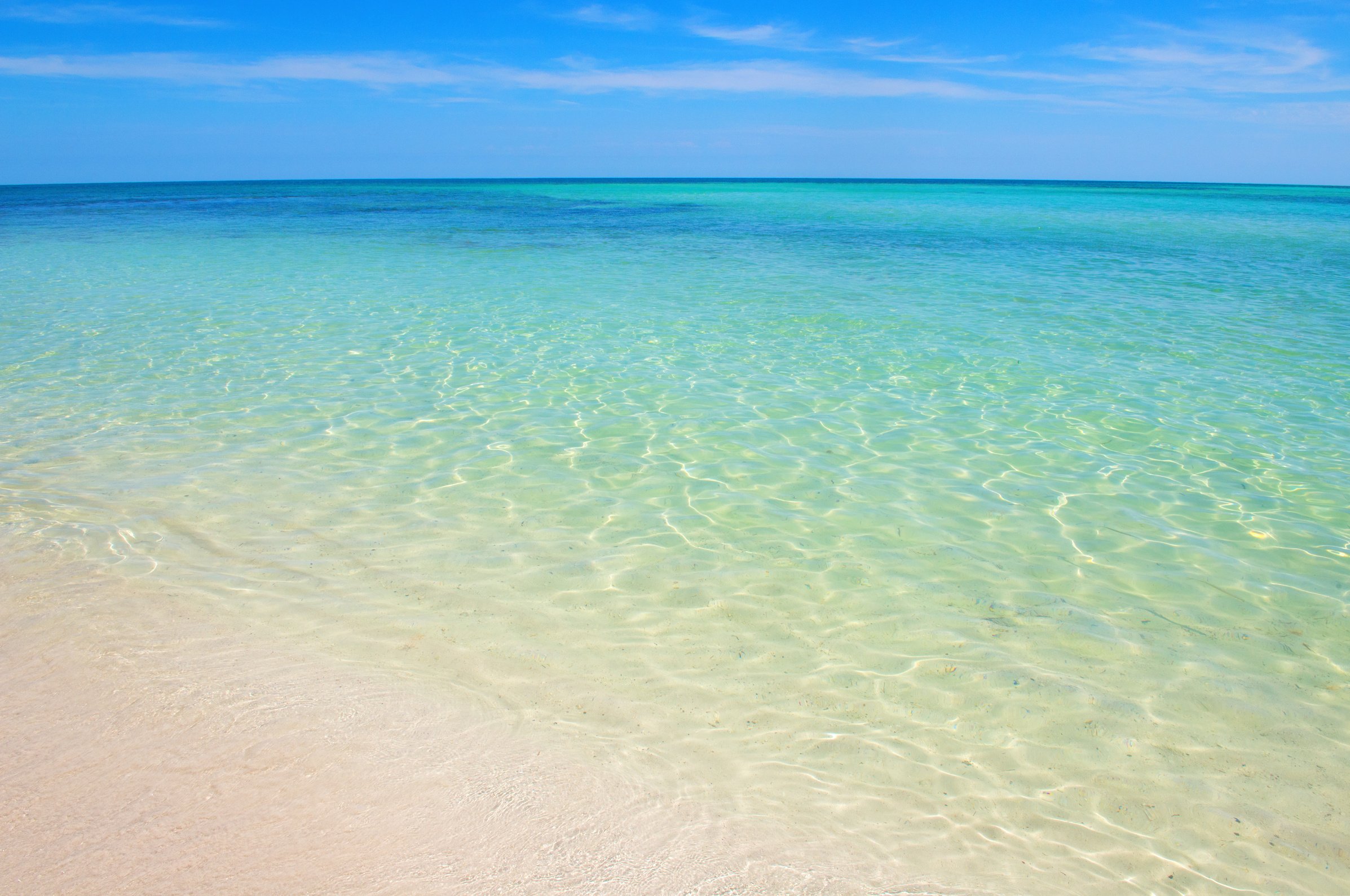 Florida Beach